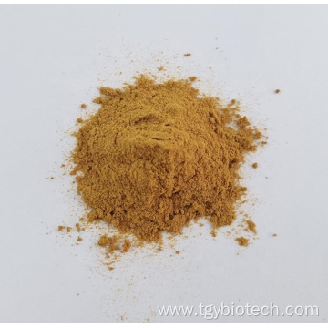 Wholesale High Quality Portulaca Extract Powder